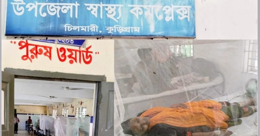 চিলমারীতে বাড়ছে ডেঙ্গুর প্রাদুর্ভাব, স্বাস্থ্য কমপ্লেক্সে ভর্তি ৭