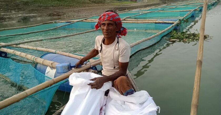রায়গঞ্জে ফুলজোড় নদীতে খাঁচায় মাছ চাষে ভাগ্য বদলেছে শত পরিবারের