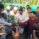 কচাকাটা বহুমুখী বালিকা উচ্চ বিদ্যালয়ে বৃক্ষরোপণ কর্মসূচি ও সাংস্কৃতিক অনুষ্ঠান