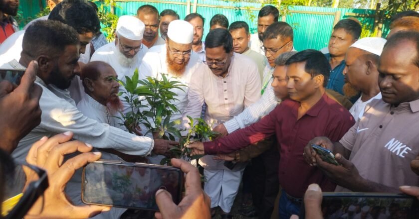 কচাকাটা বহুমুখী বালিকা উচ্চ বিদ্যালয়ে বৃক্ষরোপণ কর্মসূচি ও সাংস্কৃতিক অনুষ্ঠান