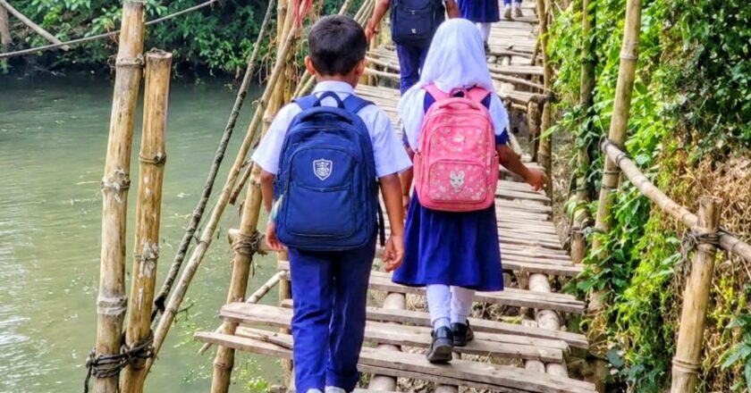 ৩০ বছর বাঁশের সাঁকোই ভরসা, এনায়েতপুরের শিবপুরে পাকা রাস্তার দাবি