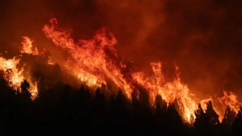 কানাডার সামরিক ঘাঁটিতে ভয়াবহ অগ্নিকাণ্ড ও হতাহতের ঘটনা